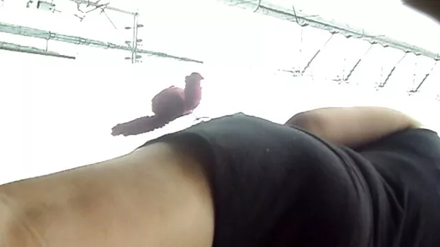 Miễn phí khiêu dâm, không giấy đăng ký  Đây sex thú nhật bản ham muốn và đam mê thắng qua sự nhút nhát, cô gái say rượu mở miệng ra để có được một phần của mẹ, ở đó, và tất cả những điều này vẫn tiếp tục cho đến khi buổi sáng.