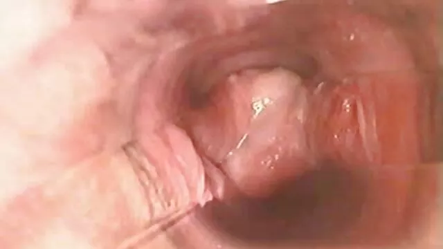 Miễn phí khiêu dâm, không giấy đăng ký  Cô gái xinh đẹp với một dày phim sex phụ đề nhật bản khai thác